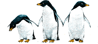 The Cold Chain Penguin