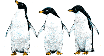 The Cold Chain Penguin